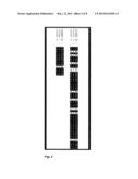 BIORESORBABLE WOUND DRESSING diagram and image