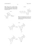 MODIFIED POLYNUCLEOTIDES ENCODING SEPTIN-4 diagram and image