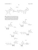 MODIFIED POLYNUCLEOTIDES ENCODING SEPTIN-4 diagram and image