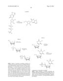 MODIFIED POLYNUCLEOTIDES ENCODING SEPTIN-4 diagram and image