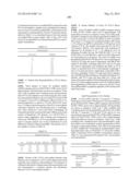 MODIFIED POLYNUCLEOTIDES ENCODING SEPTIN-4 diagram and image