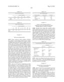 MODIFIED POLYNUCLEOTIDES ENCODING SEPTIN-4 diagram and image