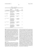 MODIFIED POLYNUCLEOTIDES ENCODING SEPTIN-4 diagram and image