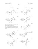 MODIFIED POLYNUCLEOTIDES ENCODING SEPTIN-4 diagram and image