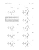 MODIFIED POLYNUCLEOTIDES ENCODING SEPTIN-4 diagram and image