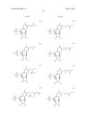 MODIFIED POLYNUCLEOTIDES ENCODING SEPTIN-4 diagram and image