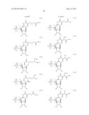 MODIFIED POLYNUCLEOTIDES ENCODING SEPTIN-4 diagram and image