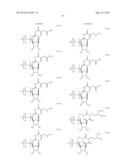 MODIFIED POLYNUCLEOTIDES ENCODING SEPTIN-4 diagram and image