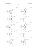 MODIFIED POLYNUCLEOTIDES ENCODING SEPTIN-4 diagram and image