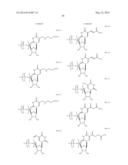 MODIFIED POLYNUCLEOTIDES ENCODING SEPTIN-4 diagram and image