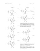 MODIFIED POLYNUCLEOTIDES ENCODING SEPTIN-4 diagram and image