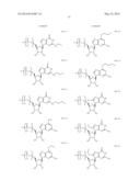 MODIFIED POLYNUCLEOTIDES ENCODING SEPTIN-4 diagram and image