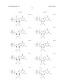 MODIFIED POLYNUCLEOTIDES ENCODING SEPTIN-4 diagram and image