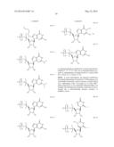 MODIFIED POLYNUCLEOTIDES ENCODING SEPTIN-4 diagram and image