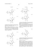 MODIFIED POLYNUCLEOTIDES ENCODING SEPTIN-4 diagram and image