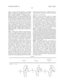 MODIFIED POLYNUCLEOTIDES ENCODING SEPTIN-4 diagram and image