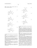 MODIFIED POLYNUCLEOTIDES ENCODING SEPTIN-4 diagram and image