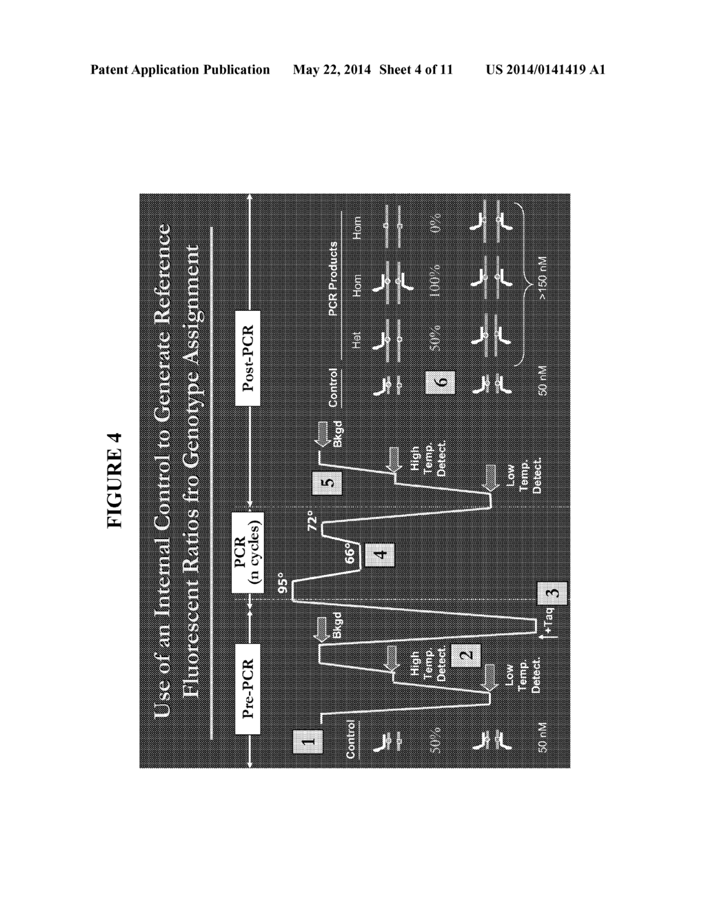 SINGLE TUBE QUANTITATIVE POLYMERASE CHAIN REACTION (PCR) - diagram, schematic, and image 05