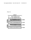 USE OF ERBB4 AS A PROGNOSTIC AND THERAPEUTIC MARKER FOR MELANOMA diagram and image