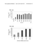 USE OF ERBB4 AS A PROGNOSTIC AND THERAPEUTIC MARKER FOR MELANOMA diagram and image