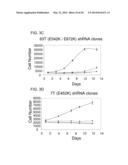 USE OF ERBB4 AS A PROGNOSTIC AND THERAPEUTIC MARKER FOR MELANOMA diagram and image