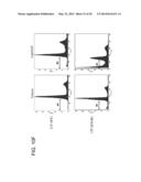 USE OF ERBB4 AS A PROGNOSTIC AND THERAPEUTIC MARKER FOR MELANOMA diagram and image