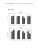 USE OF ERBB4 AS A PROGNOSTIC AND THERAPEUTIC MARKER FOR MELANOMA diagram and image