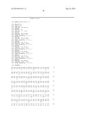 USE OF ERBB4 AS A PROGNOSTIC AND THERAPEUTIC MARKER FOR MELANOMA diagram and image