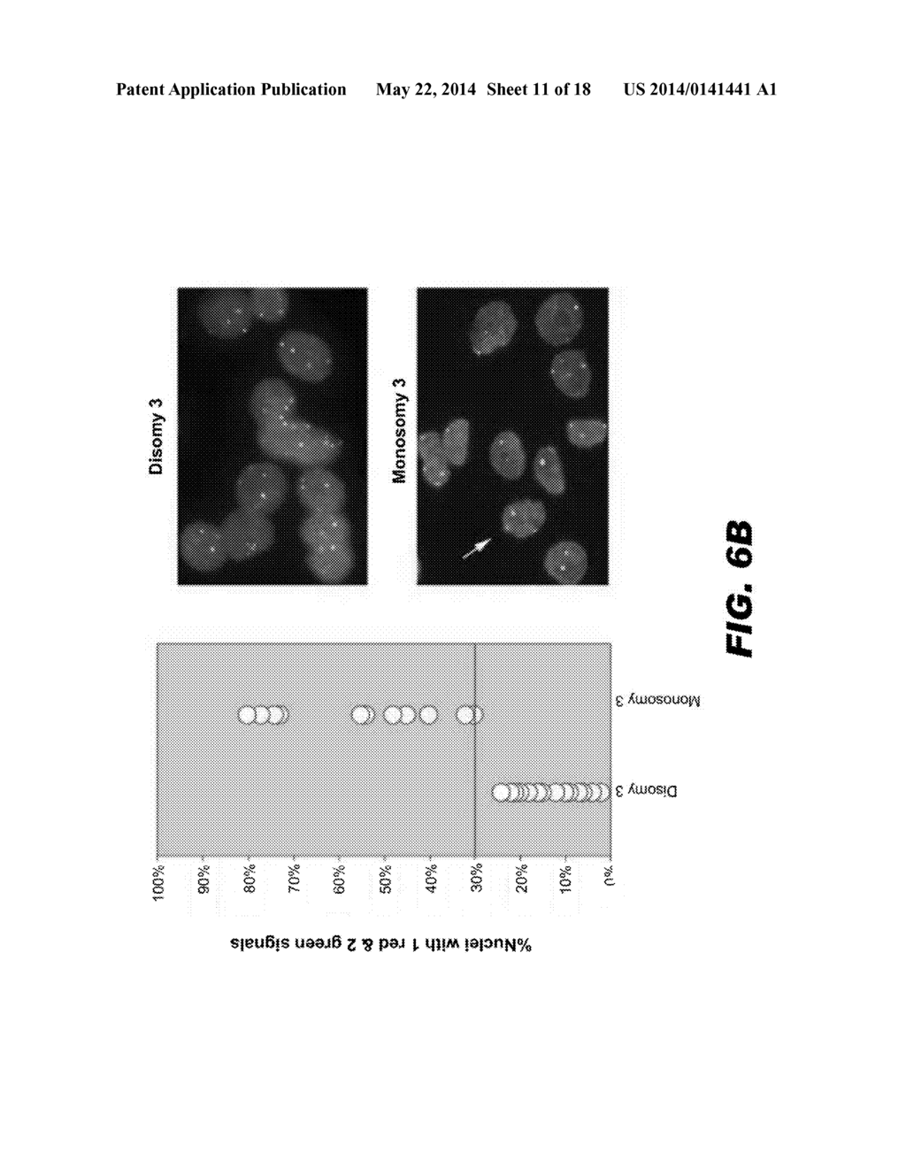 METHOD FOR PREDICTING RISK OF METASTASIS - diagram, schematic, and image 12