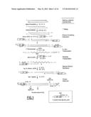 LINEAR DNA AMPLIFICATION diagram and image