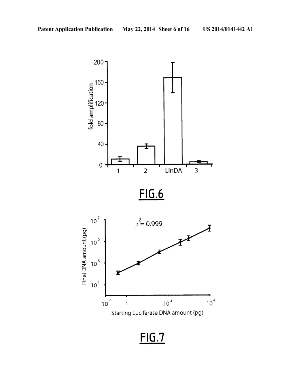 LINEAR DNA AMPLIFICATION - diagram, schematic, and image 07