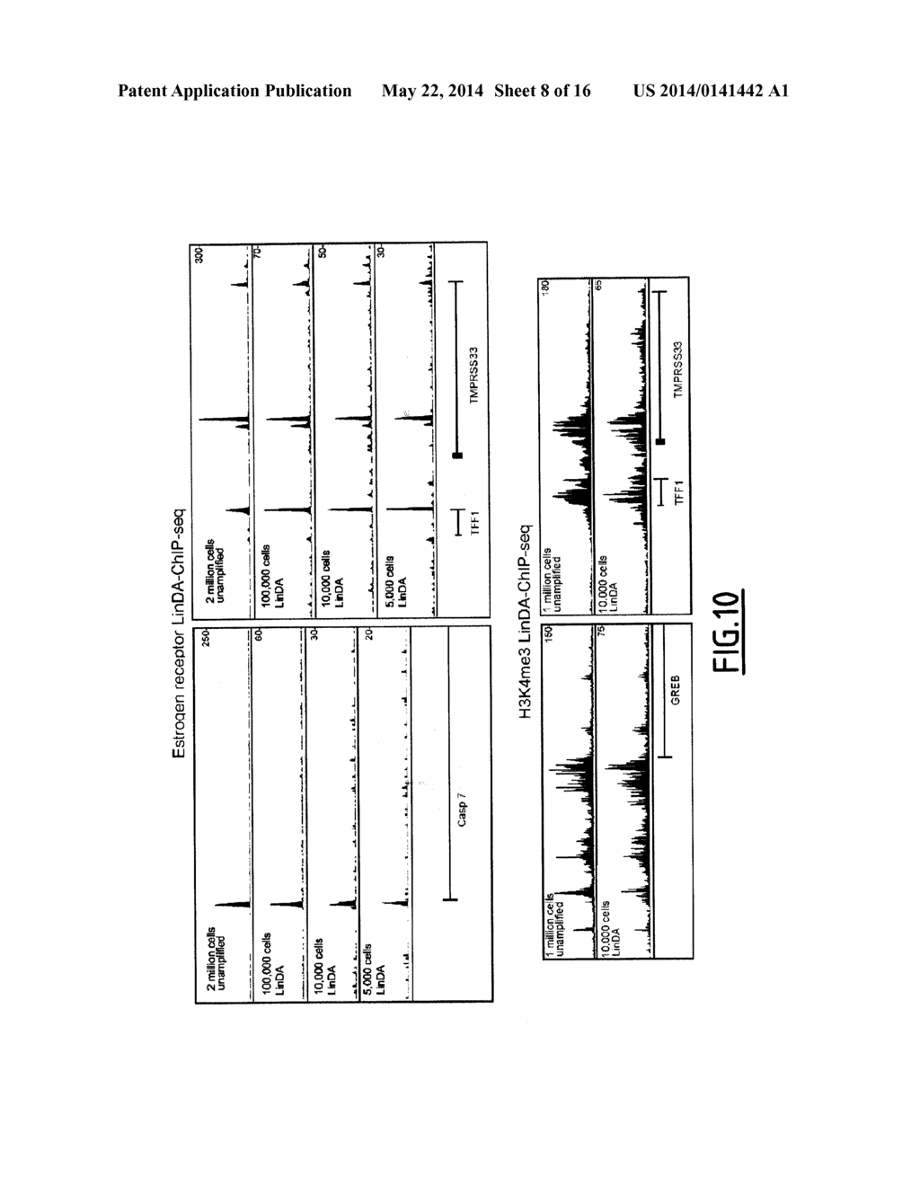 LINEAR DNA AMPLIFICATION - diagram, schematic, and image 09