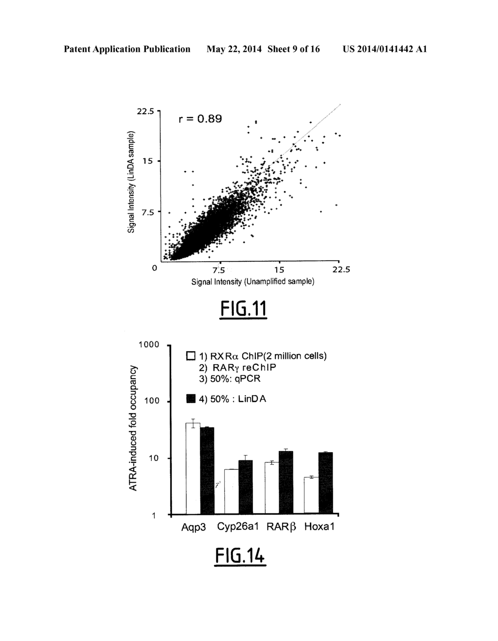 LINEAR DNA AMPLIFICATION - diagram, schematic, and image 10