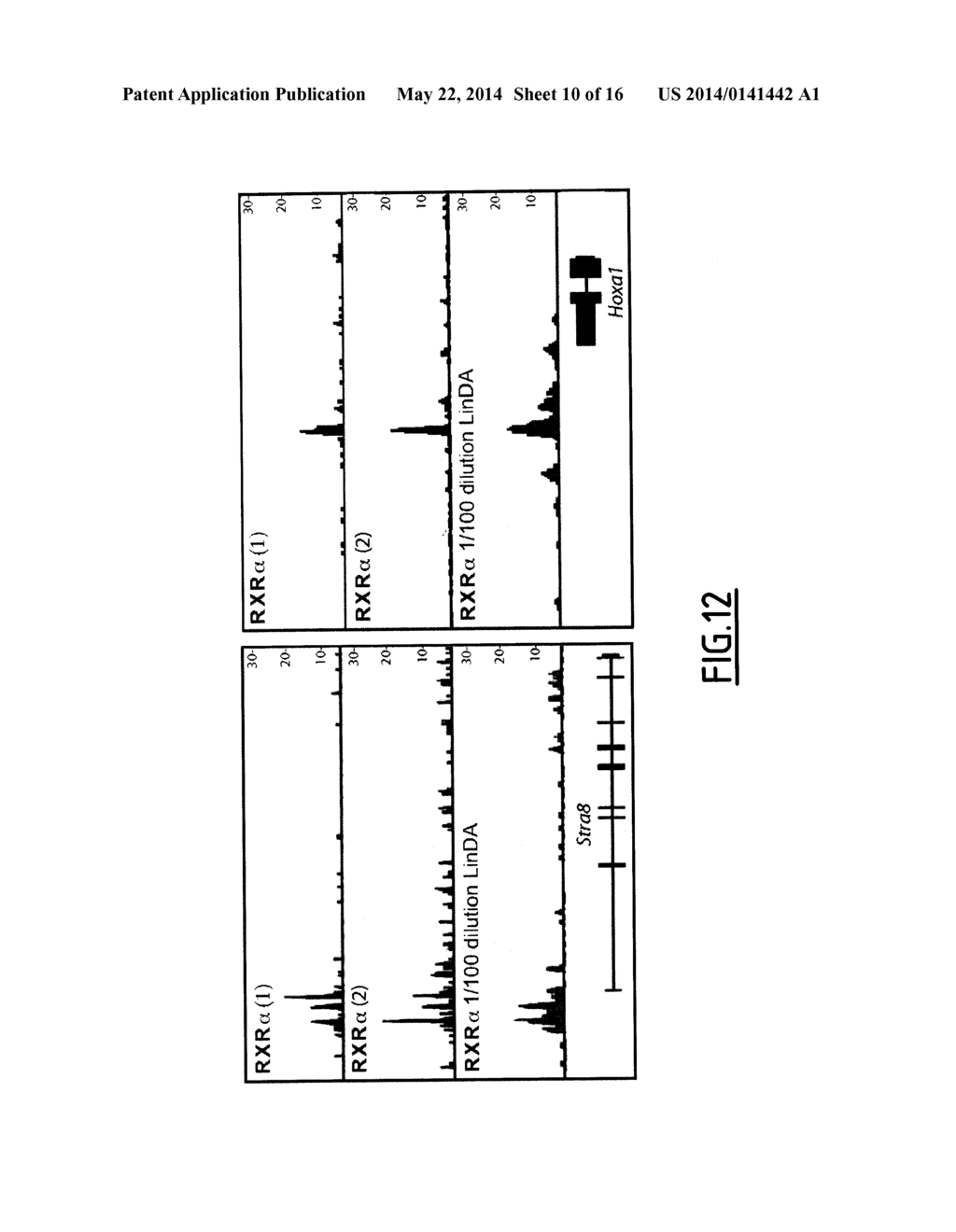 LINEAR DNA AMPLIFICATION - diagram, schematic, and image 11