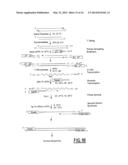 LINEAR DNA AMPLIFICATION diagram and image