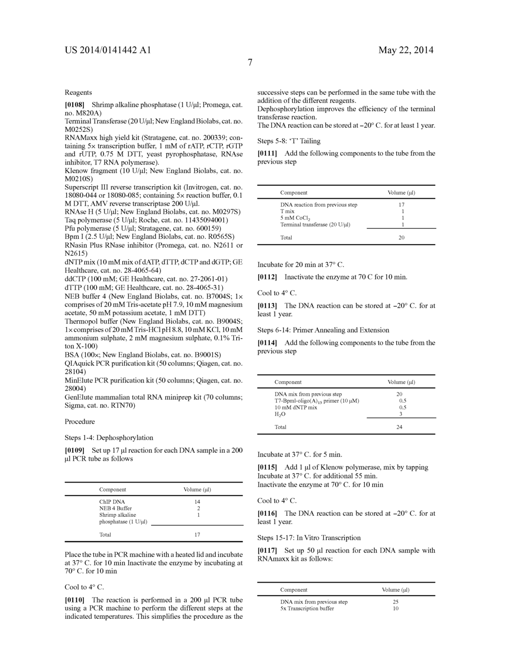 LINEAR DNA AMPLIFICATION - diagram, schematic, and image 24