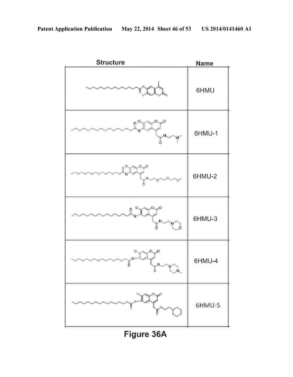 Method of Conducting an Assay - diagram, schematic, and image 47