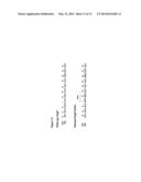 BACTERIAL HOST STRAIN EXPRESSING RECOMBINANT DSBC diagram and image