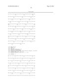 BACTERIAL HOST STRAIN EXPRESSING RECOMBINANT DSBC diagram and image