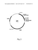 Methods For Degrading or Converting Plant Cell Wall Polysaccharides diagram and image