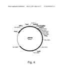 Methods For Degrading or Converting Plant Cell Wall Polysaccharides diagram and image