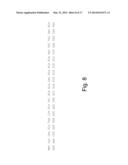 Methods For Degrading or Converting Plant Cell Wall Polysaccharides diagram and image