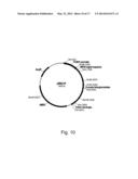 Methods For Degrading or Converting Plant Cell Wall Polysaccharides diagram and image