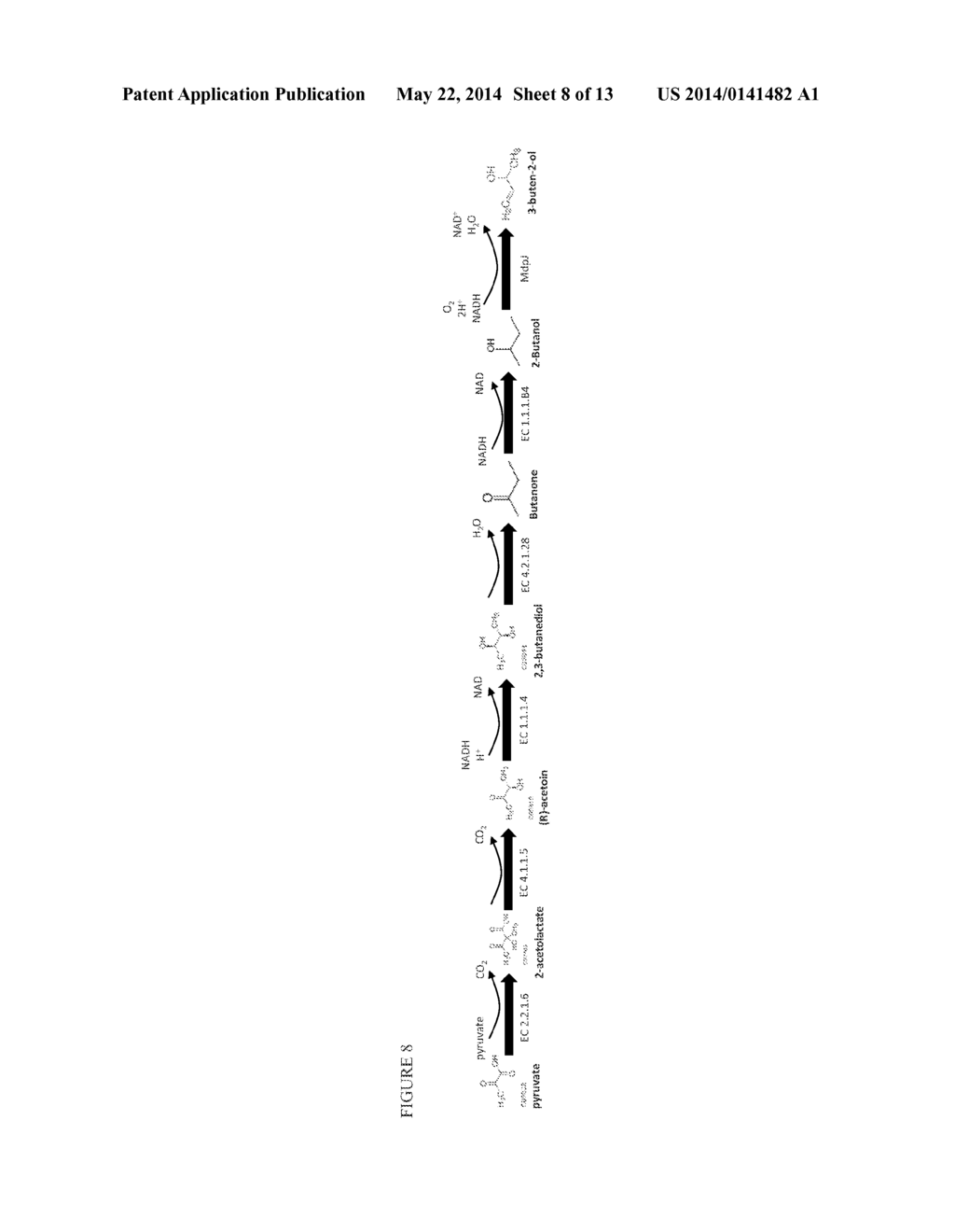 METHODS FOR BIOSYNTHESIZING 1,3 BUTADIENE - diagram, schematic, and image 09