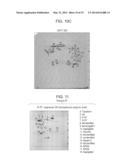 SEQUENCE OF 55 NEW FOUND PROTEINS AND THEIR APPLICATION diagram and image