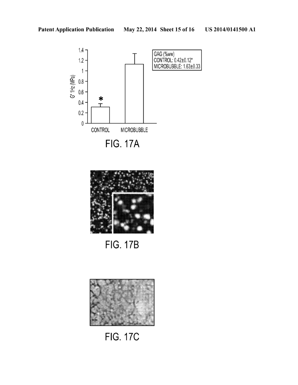 MICROBUBBLE DEVICES, METHODS AND SYSTEMS - diagram, schematic, and image 16