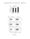 CELL LINE OF LYMPHOCYTES COMPRISING GAMMA-DELTA T CELLS, COMPOSITION AND     PRODUCTION METHOD THEREOF diagram and image