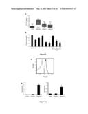 CELL LINE OF LYMPHOCYTES COMPRISING GAMMA-DELTA T CELLS, COMPOSITION AND     PRODUCTION METHOD THEREOF diagram and image