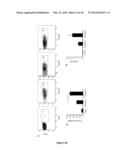 CELL LINE OF LYMPHOCYTES COMPRISING GAMMA-DELTA T CELLS, COMPOSITION AND     PRODUCTION METHOD THEREOF diagram and image