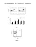 CELL LINE OF LYMPHOCYTES COMPRISING GAMMA-DELTA T CELLS, COMPOSITION AND     PRODUCTION METHOD THEREOF diagram and image